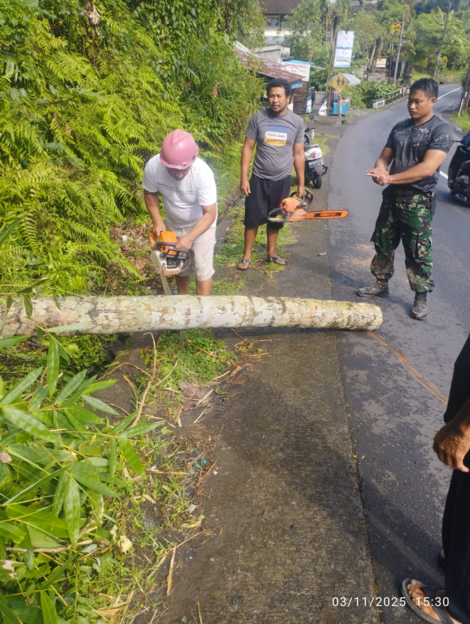 Penanganan banjir dan pohon tumbang di wilayah Marga Dauh Puri