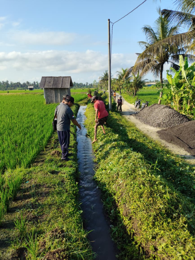 Persiapan pengerjaan saluran irigasi di Subak Ole